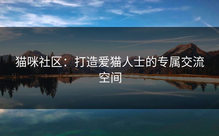 猫咪社区:打造爱猫人士的专属交流空间 猫咪社区:打造爱猫人士的专属交流空间